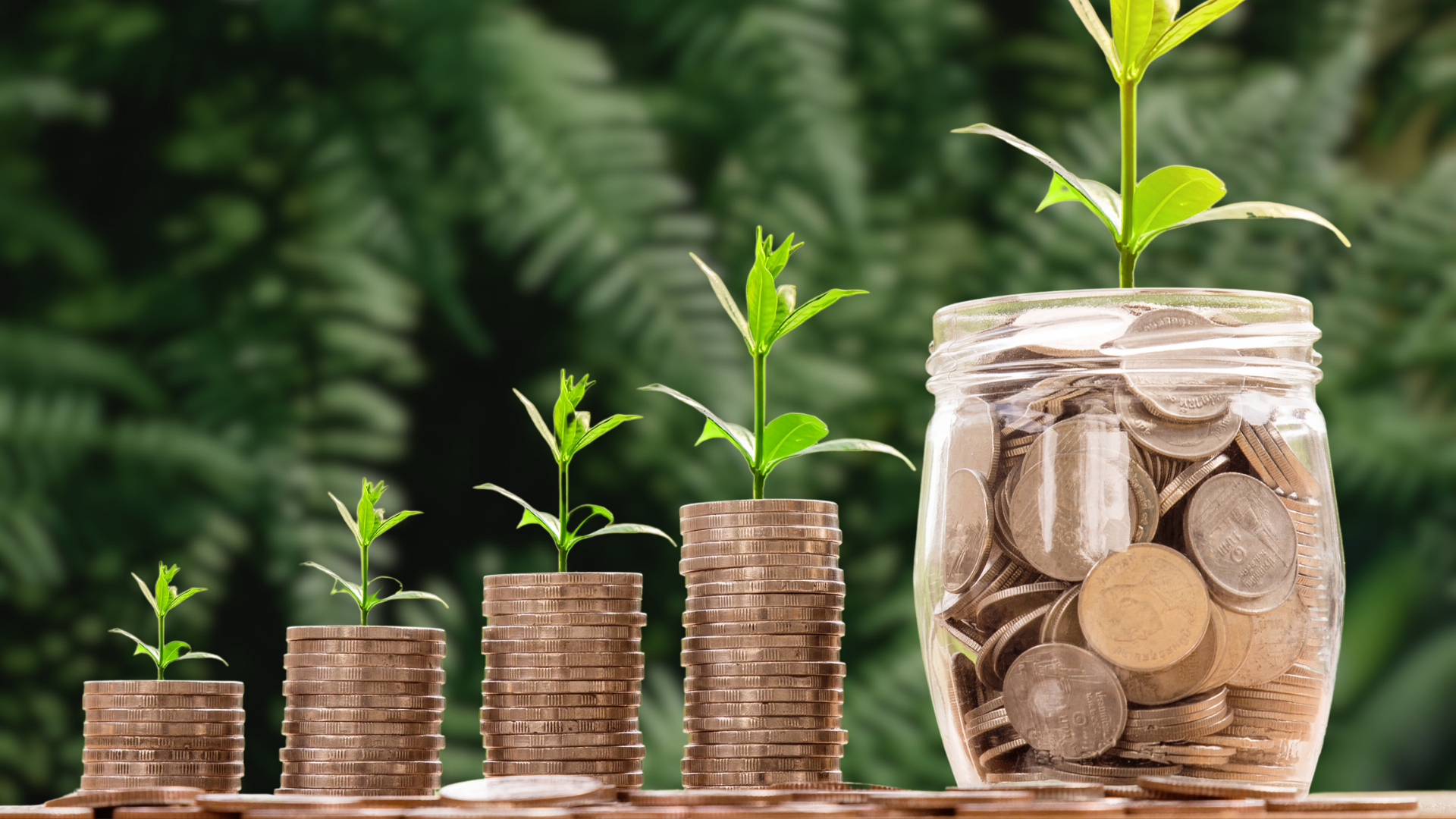 Beleggingsverzekering